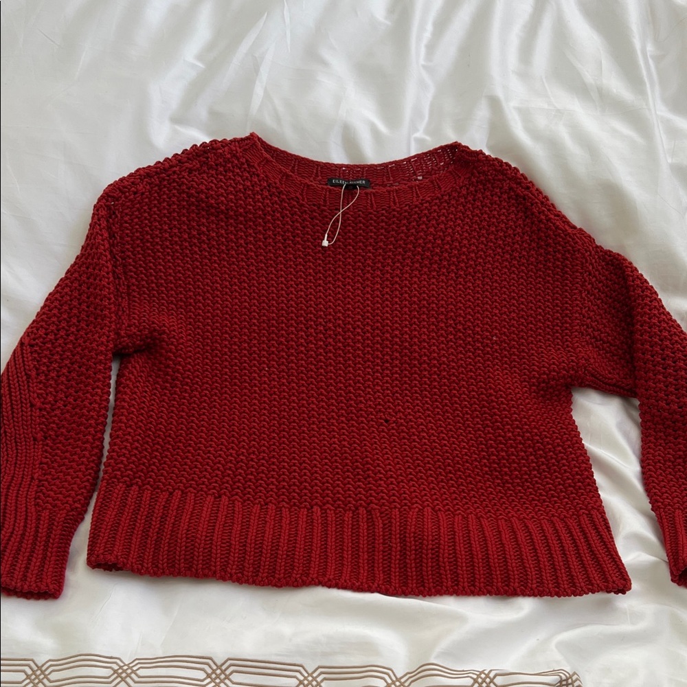 Eileen Fisher Rich Rust color Crew Neck Sweater